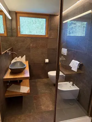 a bathroom with a toilet and a sink and a shower at Falkenau in Chienes