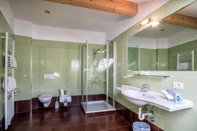 a bathroom with a sink and a shower and a toilet at Hotel Weingarten in Caldaro