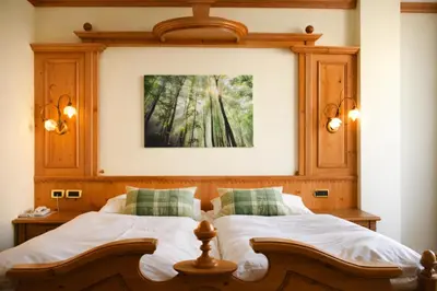 a bedroom with a bed with a picture on the wall at Hotel Comfort Erica Dolomiti Val d'Adige in Salorno sulla Strada del Vino