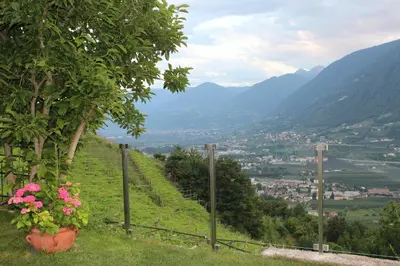 a view of a valley from a hill with flowers at Villa Falkner in Tirolo