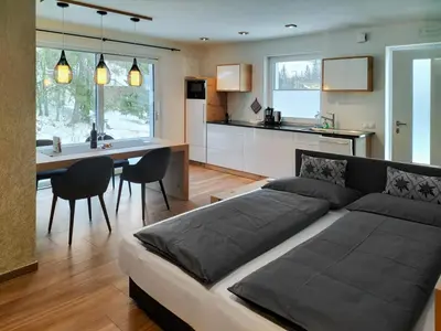 a living room and kitchen with a bed and a table at Apartment Cësa Zinch in Ortisei