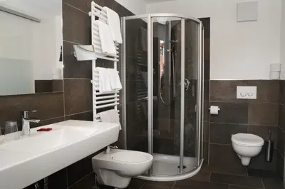 a bathroom with a shower and a toilet and a sink at Hotel Olaga in Valdaora