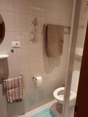a bathroom with a toilet and a towel on the wall at 