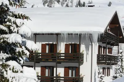 a building on the side of a road with a mountain at Hotel Monzoni - San Pellegrino in Passo San Pellegrino