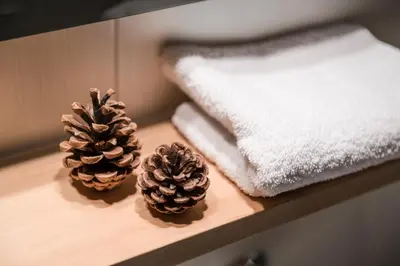 two pine cones sitting on a table with a towel at Piculin Alpin Apartments in San Martino in Badia