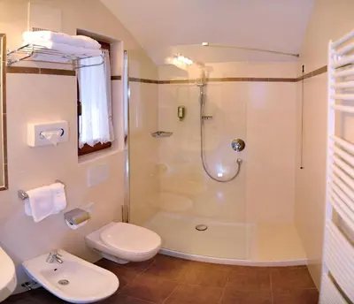 a bathroom with a shower and a toilet and a sink at Hotel Brunnerhof in Rasùn di Sotto