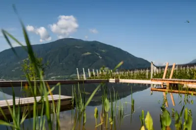a lake with a dock and a mountain in the background at Pataunerhof Tirol in Tirolo