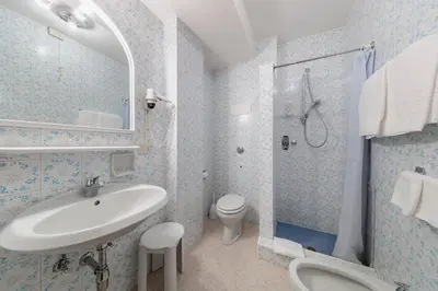 a bathroom with a sink and a toilet and a shower at Hotel Al Larin in Cortina dʼAmpezzo