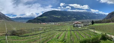 a vineyard with a house in the middle of a field at Mareinhof - Urlaub auf dem Apfelbauernhof in Parcines