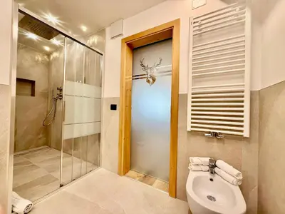 a bathroom with a toilet and a glass shower at B&B Family Accommodation Canazei SKI-IN SKI-OUT in Canazei
