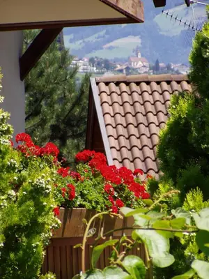a window with a bunch of red flowers on a balcony at Grieserhof Algund in Lagundo