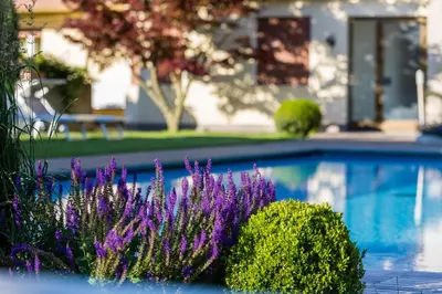 a pool with purple flowers in front of a house at Hotel Untermelz in Plaus
