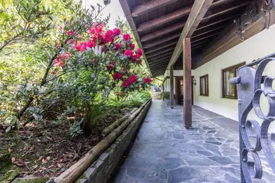 a walkway with flowers on the side of a building at Chalet Luis in Falzes