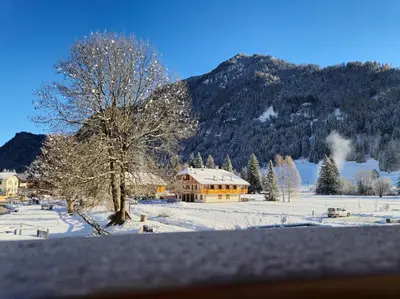 a house in a snow covered field with a tree at La Casa del Mulino in Pozza di Fassa