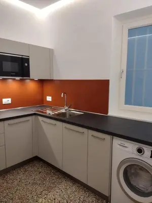 a kitchen with a sink and a washing machine at Hager Apartment in Merano