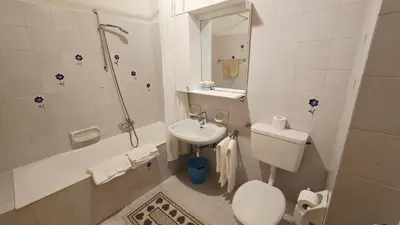 a bathroom with a sink and a toilet and a shower at Appartamenti Bernard Sas in Canazei