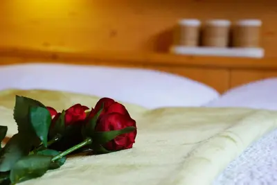 a red rose sitting on top of a bed at Piz da Cir in Colfosco