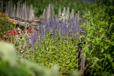 a garden with purple flowers and a wooden fence at Ferienwohnung Mair am Bach in Brunico
