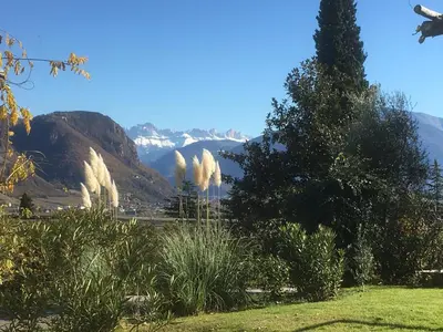 a view of a mountain range with trees and grass at Pension Gruenwald in Andrian