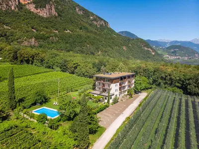 an aerial view of a house in a vineyard at Pension Gruenwald in Andrian