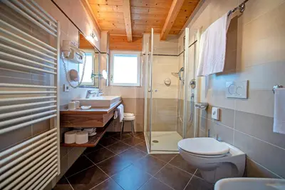 a bathroom with a toilet and a sink and a shower at Astor Suites B&B in Selva di Val Gardena