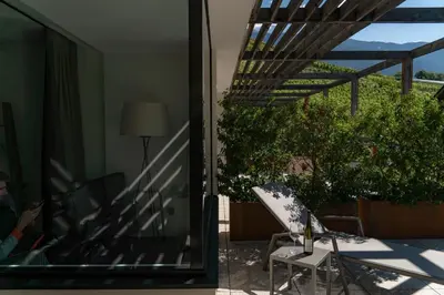 a house in the middle of a vineyard at Haller Suites & Restaurant in Bressanone