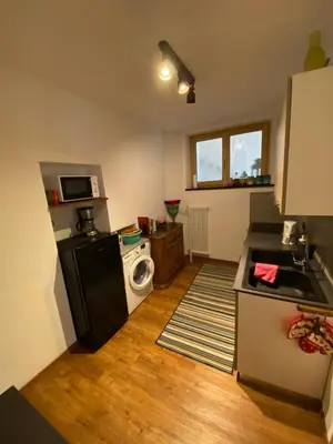 a kitchen with a refrigerator and a washing machine at Cesa Prinoth in Campitello di Fassa
