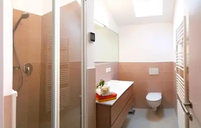 a bathroom with a shower and a toilet at Traubenhof in Magrè allʼ Adige