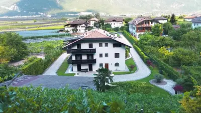 an aerial view of a house in a vineyard at Traubenhof in Magrè allʼ Adige