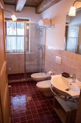 a bathroom with a shower and a toilet and a sink at Residence Valpiccola in Val di Zoldo