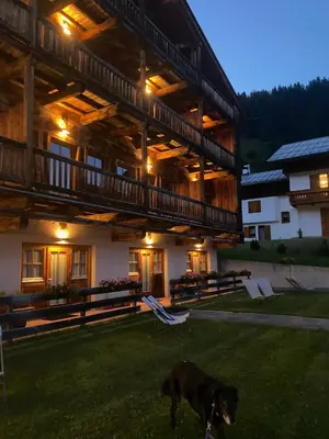 a dog standing in the grass in front of a building at Residence Valpiccola in Val di Zoldo