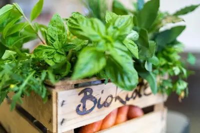 a wooden crate filled with plants on top of carrots at Hotel Alpenhof in Tirolo