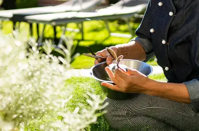 a person holding a bowl with chopsticks in it at Hotel Alpenhof in Tirolo
