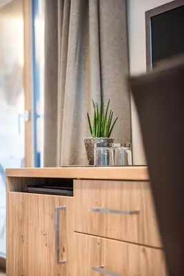 a plant in a pot on top of a cabinet at Hotel Gasserhof in Bressanone