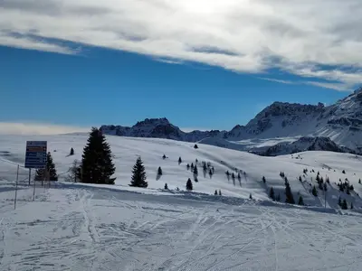 a snow covered slope with trees on a mountain at Appartamento Gliera in Arabba