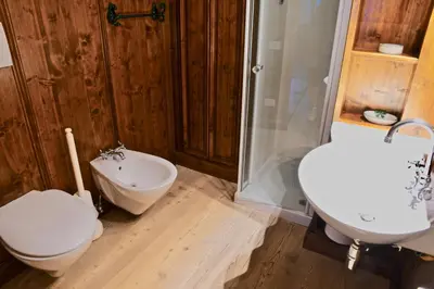 a bathroom with a toilet and a sink and a shower at CanguroProperties - Ca' Mora in Cortina dʼAmpezzo