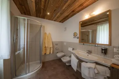 a bathroom with a shower toilet and a sink at Pöder - daheim in den Bergen in Ultimo