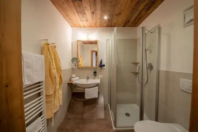 a bathroom with a shower toilet and a sink at Pöder - daheim in den Bergen in Ultimo