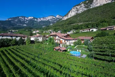 a village in a vineyard with mountains in the background at Ferienhof 