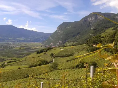 a view of a green hill with mountains in the background at Ferienhof 