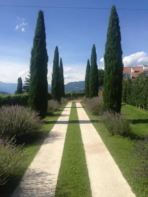 a path through a garden with trees and bushes at Villa Raifer in Appiano sulla Strada del Vino