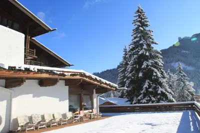 a building with chairs and a tree in the snow at Hotel Trento in Pozza di Fassa