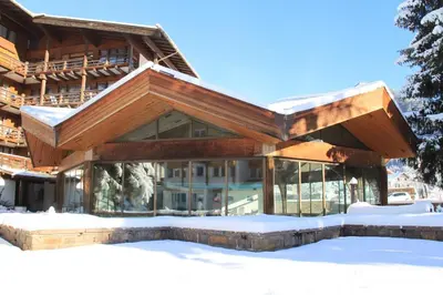 a house in the snow with a roof at Hotel Trento in Pozza di Fassa