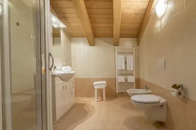 a bathroom with a toilet and a sink and a shower at Residence Civetta in Val di Zoldo