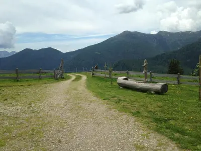 a dirt road in a field with a fence and mountains at il bosco in casa in Telve