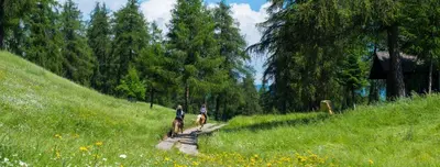 two people walking down a path in a field at Camping Chalet Salten in San Genesio Atesino