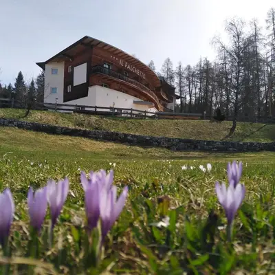 a building with purple flowers in a field at Il Falchetto in Sarnonico