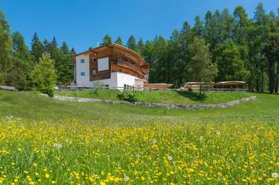 a house on a hill with a field of flowers at Il Falchetto in Sarnonico