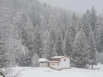 a snow covered forest with a house and trees at Il Falchetto in Sarnonico