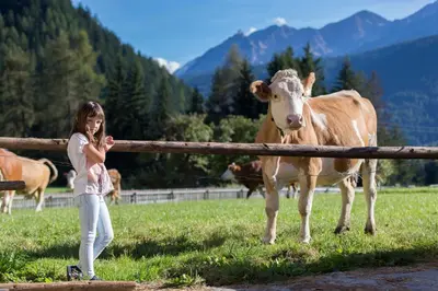 a little girl standing next to a cow in a field at Landhof in Monguelfo